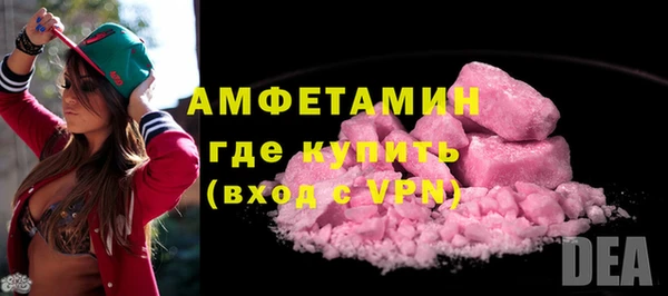 индика Нязепетровск