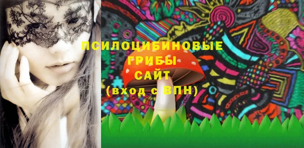 дмт Няндома