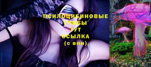 PSILOCYBIN Алзамай