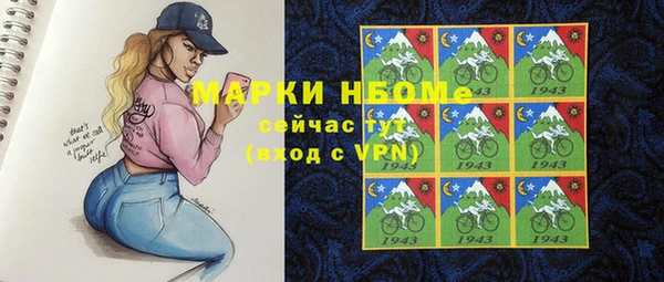 PSILOCYBIN Алзамай