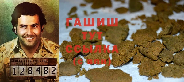 PSILOCYBIN Алзамай