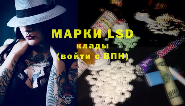 PSILOCYBIN Алзамай
