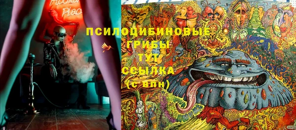 дмт Няндома