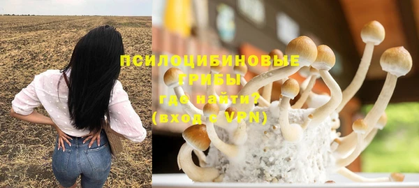 PSILOCYBIN Алзамай