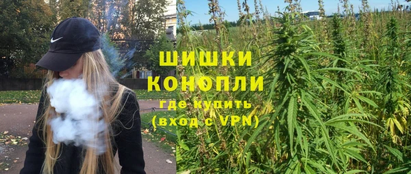 индика Нязепетровск