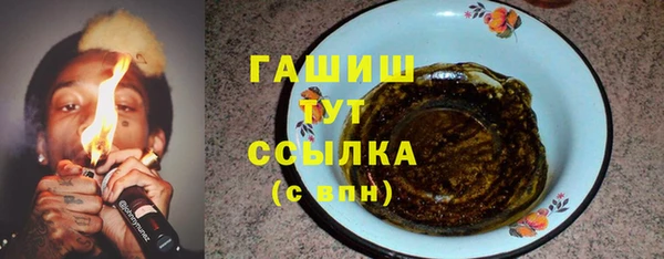 PSILOCYBIN Алзамай