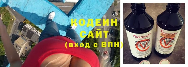 индика Нязепетровск